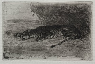 Tiger som sover ved inngangen til sin hule av Eugène Delacroix