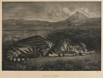 kongelig tiger av Eugène Delacroix