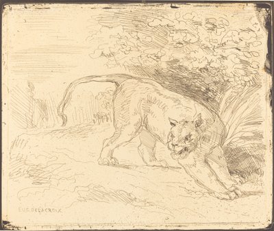 Tiger in Stop, 1854. av Eugène Delacroix