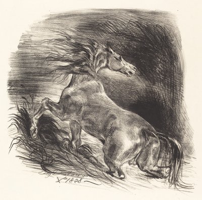 Villhesten kommer ut av vannet Cheval sauvage, 1828. av Eugène Delacroix