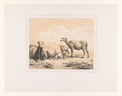 Geit, sau og to lam Ulike dyr (serietittel) Etudes d