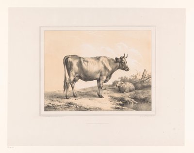 Ku og sau i et landskap Diverse dyr (serietittel) Études d'Animaux (serietittel) av Eugène Verboeckhoven