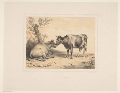 To kyr Ulike dyr (serietittel) Etudes d