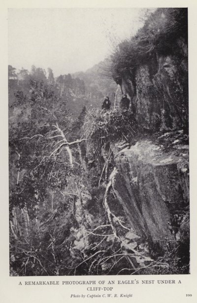 Et bemerkelsesverdig fotografi av et ørnerede under en klippetopp (s/hvitt-bilde) av European Photographer