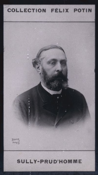 Armand Sully Prudhomme (1839) (s/hvitt-bilde) av European Photographer