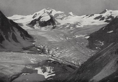 Braunschweiger Hutte, mot Wildspitze, Pitztal (s/hvitt bilde) av European Photographer