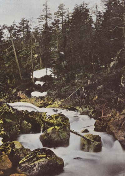 Cauterets, øvre fall av Spaniabroen av European Photographer
