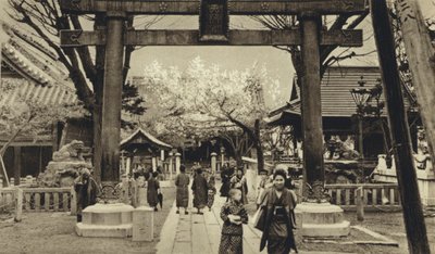 Japan, gate i Tokyo, tid for kirsebærblomstring (s/hvitt bilde) av European Photographer
