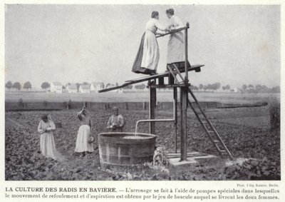 Reddikkulturen i Bayern (s/hvitt-bilde) av European Photographer