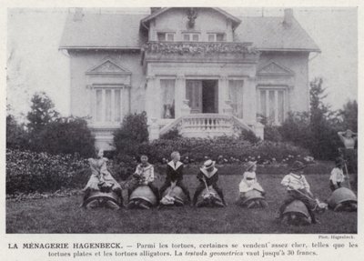 La Menagerie Hagenbeck (s/hvitt bilde) av European Photographer