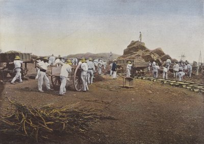 Dømt til arbeid, Noumea av European Photographer