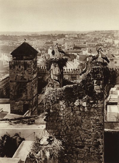 Rabat, storker i Kasbah Oudaya (s/hvitt bilde) av European Photographer