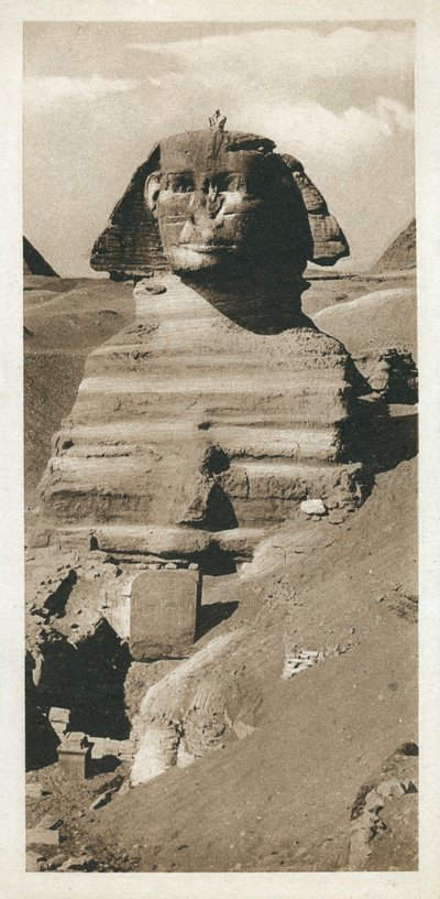 Den store sfinksen på Giza-platået, Egypt (s/hvitt bilde) av European Photographer