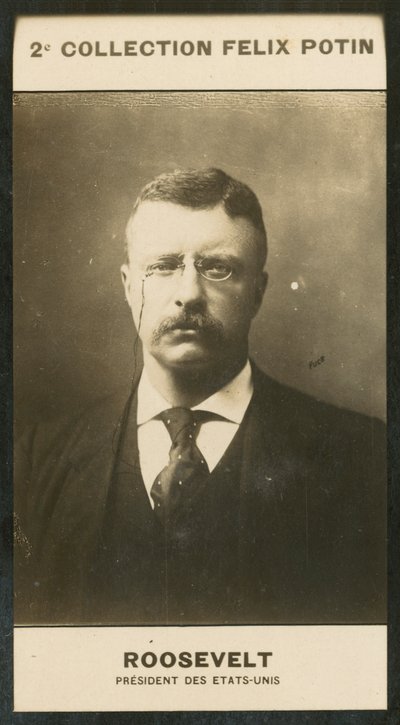 Theodore Roosevelt, USAs president av European Photographer