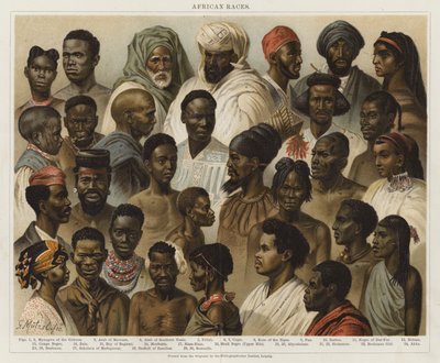 afrikanske raser av European School