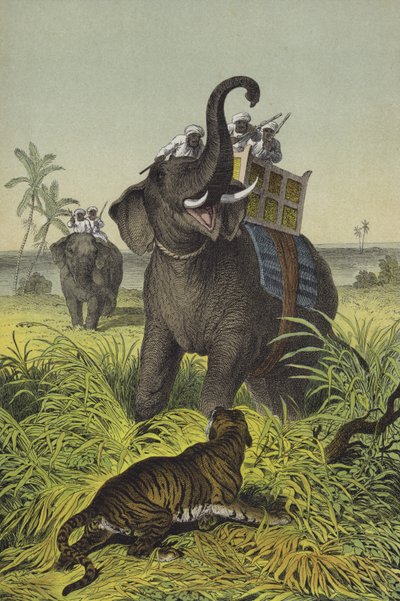 Dyr og planter i India (farge litho) av European School