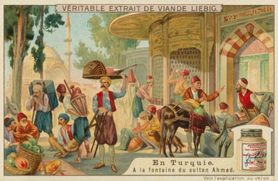 Ved fontenen til Sultan Ahmed III ved Topkapi-palasset av European School