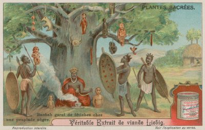 Baobab-tre hengt med fetisjer av en afrikansk stamme av European School