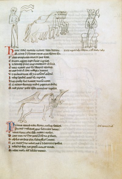 Bestiary: the Horse (blekk på vellum) av European School