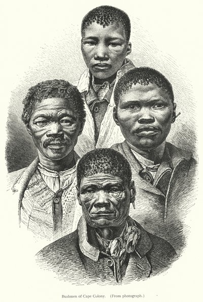 Bushmen of Cape Colony (gravering) av European School