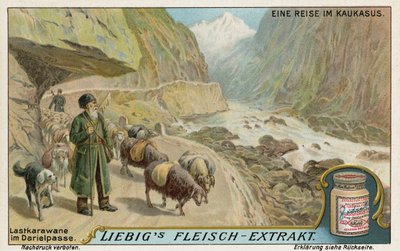 Caravan i Darial Gorge, Russland av European School
