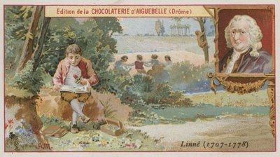 Carl Linnaeus, svensk botaniker og zoolog av European School