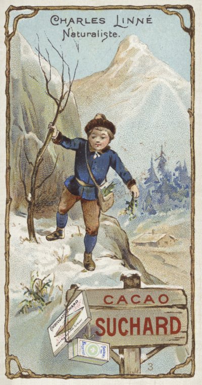Carl Linnaeus, svensk botaniker og zoolog, som barn av European School