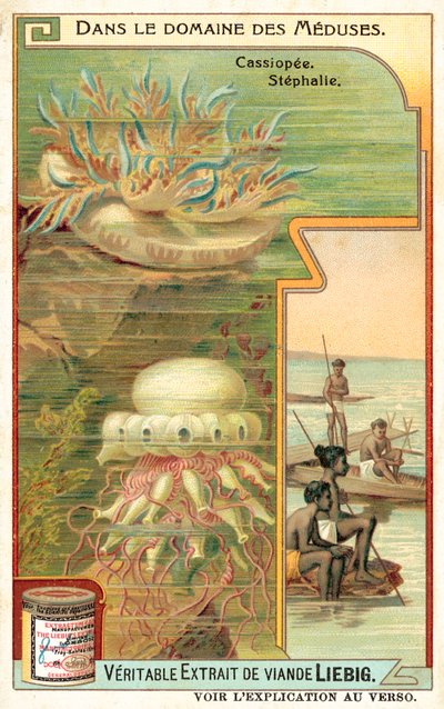 Cassiopeia og Stephalia (chromolitho) av European School