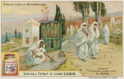 Kirkegård nær Blida i Algerie av European School