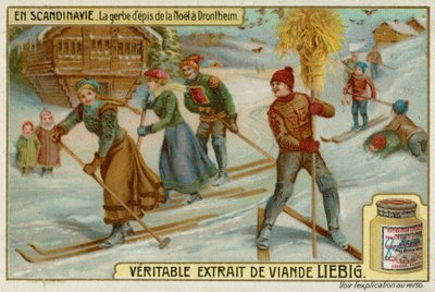 Christmas Wheatsheaf i Trondheim av European School