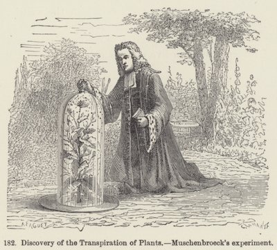 Discovery of the Transpiration of Plants, Muschenbroecks eksperiment (gravering) av European School