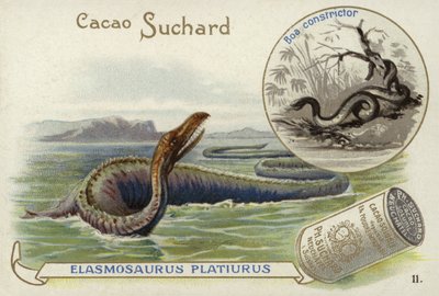 Elasmosaurus og boa constrictor av European School