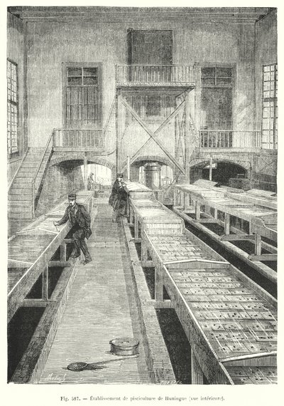 Huningue fiskefarm, innvendig utsikt. (gravering) av European School