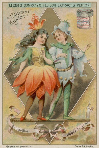 Fire Lily og Bluebell av European School