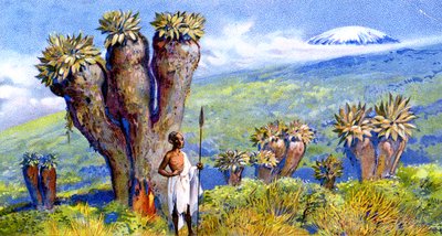 Kjempebakk, Kilimanjaro, Afrika av European School