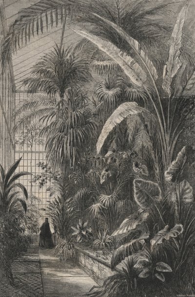 Great Greenhouse of the Museum of Paris (gravering) av European School
