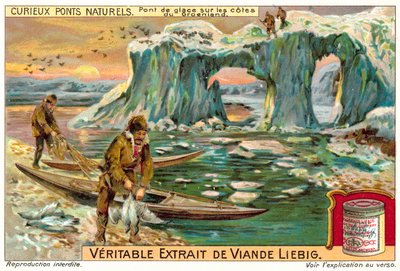 Isbro på kysten av Grønland (chromolitho) av European School