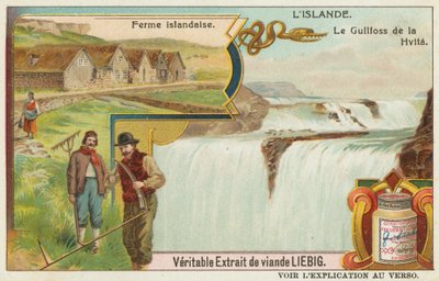 Islandsk gård og Gullfoss (Golden Falls) på Hvita av European School