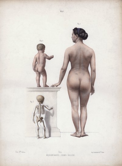 Illustrasjon til Anatomien til mannens ytre former: Kvinne og barn stående, sett bakfra (fargelitografi) av European School