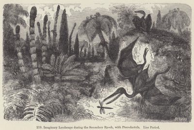 Imaginært landskap under den sekundære epoken, med Pterodactyls, Lias-perioden (gravering) av European School