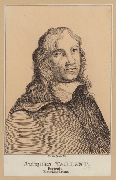 Jacques Vaillant , nederlandsk maler (radering) av European School