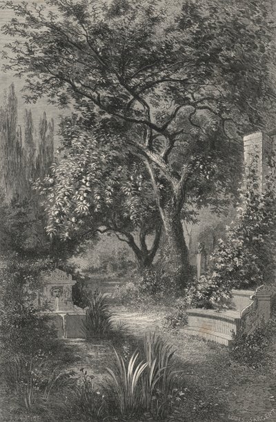 Alcinous Garden (gravering) av European School