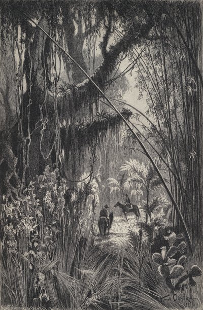 Jungel i Cordillera of Salta, nordvest i Argentina (litho) av European School