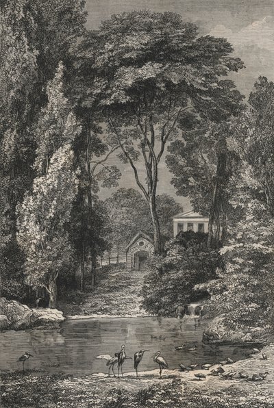 Den sveitsiske dalen i Jardin Des Plantes i Paris (gravering) av European School