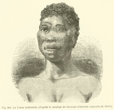 Hottentot Venus, fra rollebesetningen til Museum of Natural History i Paris (gravering) av European School