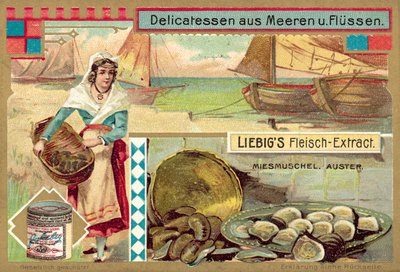 Blåskjell og østers (chromolitho) av European School