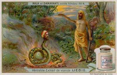 Nala redder slangen Naga Karkotaka av European School