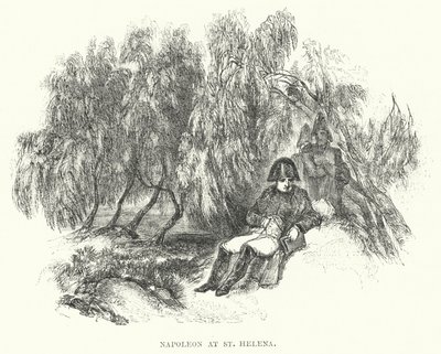 Napoleon ved St. Helena (gravering) av European School