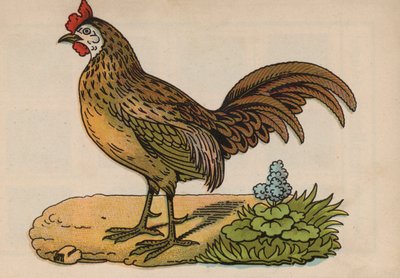 Side fra den magiske boken (farge litho) av European School