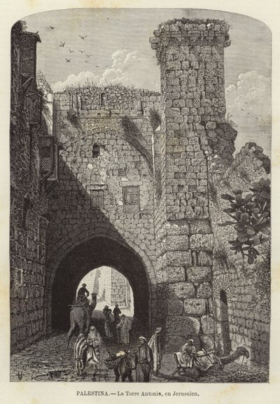 Palestina, Antonia-tårnet, i Jerusalem av European School